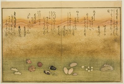 Sudare utanför, blomma utanför, körsbärsblom utanför, ingen agat, nadeshiko utanför, idé d Kinuta utanför, från tee st latte bracts of the tidvat)” av Kitagawa Utamaro