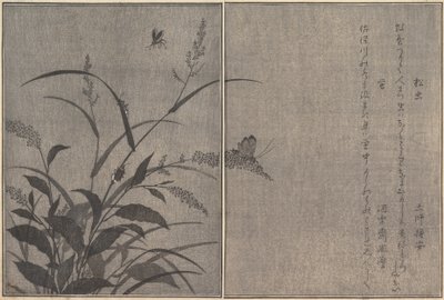 Trädsyrsa Matsumushi, Firefly Hotaru..., 1788. av Kitagawa Utamaro