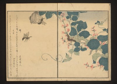 Getingar och hårig larv på pilrot av Kitagawa Utamaro
