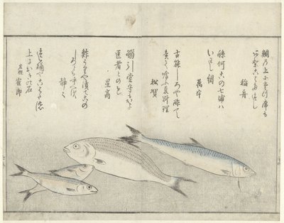 Fyra fiskar av Kitao Masayoshi