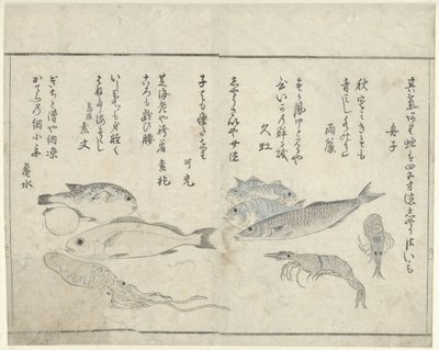 Havsdjur av Kitao Masayoshi