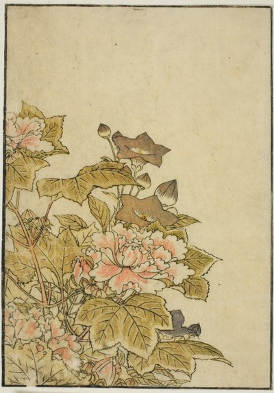 Autumn Flowers: Peonies and Bellflowers, från boken "Mirror of Beautiful Women of the Pleasure Quarters (Seiro bijin awase sugata kagami)," vol. ２ av Kitao Shigemasa