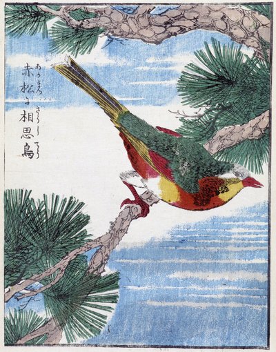 Fågel på ett träd. Japansk teckning av Kitao Kosuisai av Kitao Shigemasa