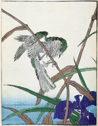 Fågel på ett träd. Japansk teckning av Kitao Kosuisai av Kitao Shigemasa