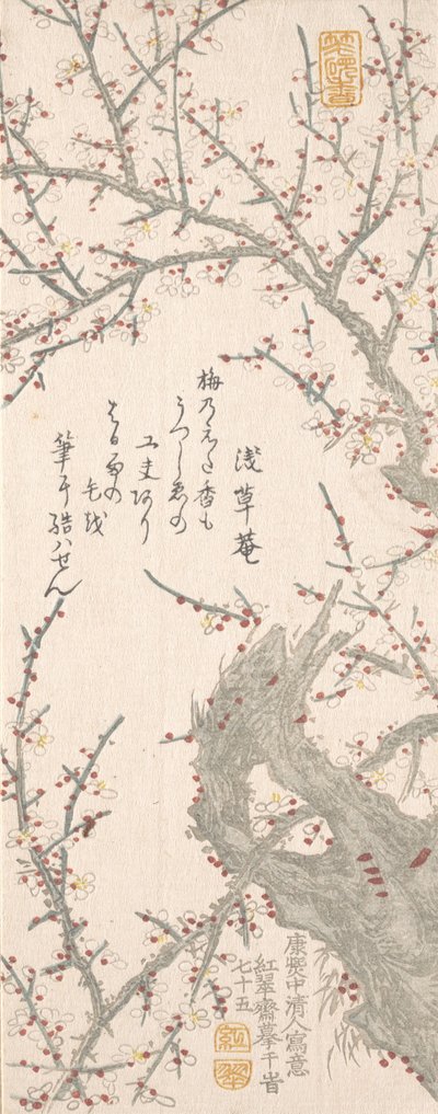 Plommonträd i blom, 1813. av Kitao Shigemasa