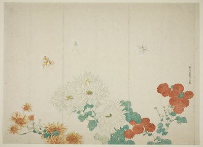 Tre sorters krysantemum av Kitao Shigemasa