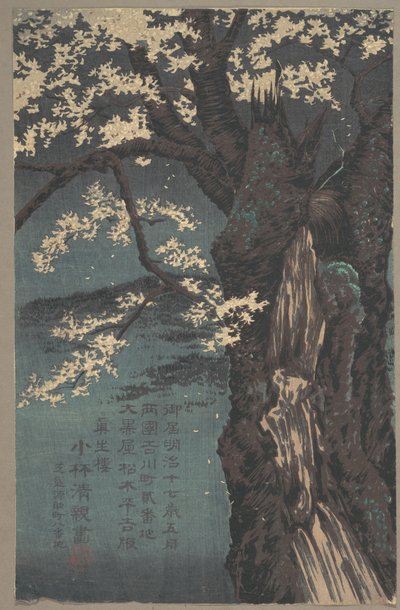 Körsbärsträd av Kobayashi Kiyochika