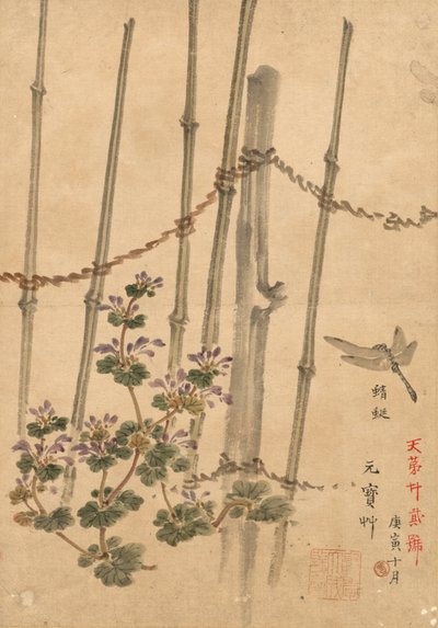 Bambu staket och krysantemum, ca. 1890. av Kono Bairei