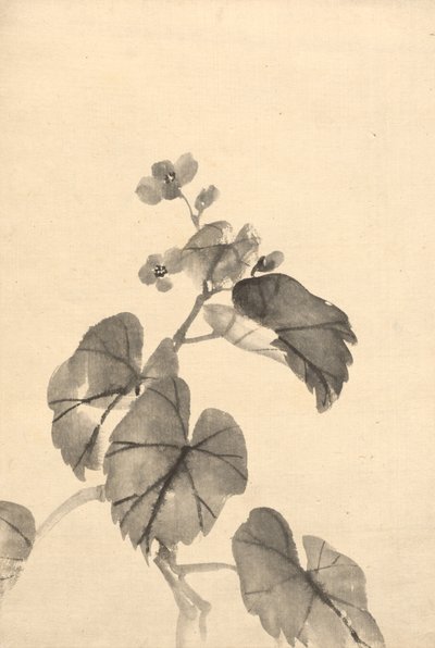 Gren av Begonia i blom. av Kono Bairei