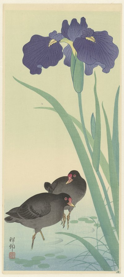 Morhöns och iris (träsnitt i färg) av Ohara Koson