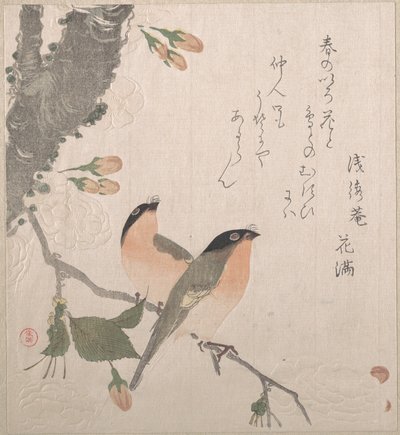 Domherrar och körsbärsblommor av Kubo Shunman