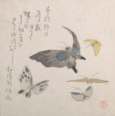 Fjärilar, 1800-talet. av Kubo Shunman
