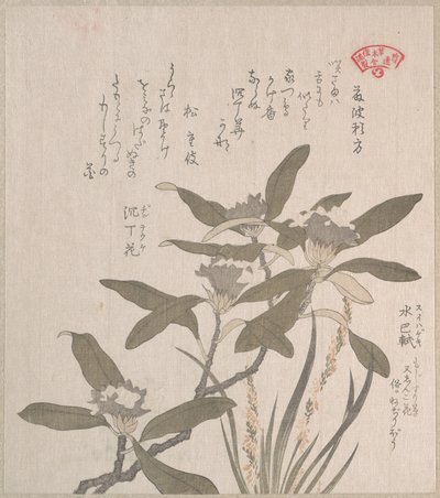 Daphne odora och Mojisuri-so av Kubo Shunman