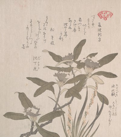Daphne Odora och Mojisuri-so, 1800-talet. av Kubo Shunman