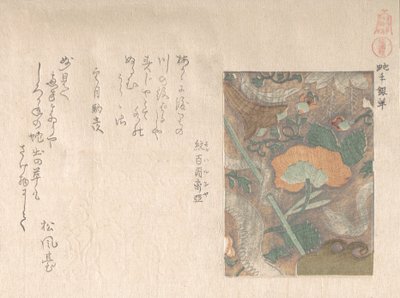 Mönster av importerat läder, 1800-talet. av Kubo Shunman