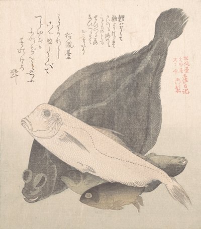 Flundra och andra fiskar, 1800-talet. av Kubo Shunman