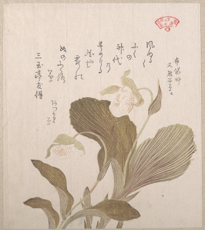 Hoteis blommor av Kubo Shunman