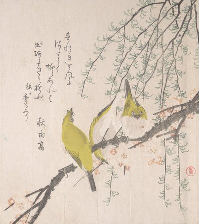Japanska vita ögon med plommonträd och pil..., ca. 1810. av Kubo Shunman