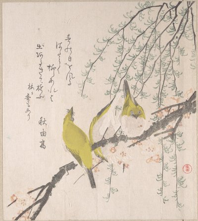 Japanska glasögonfåglar med plommonträd och pil, ur surimonoalbumet Vårregn (Harusame surimono-jō, vol. 3) av Kubo Shunman