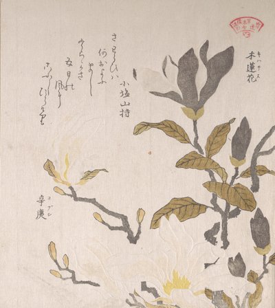 Magnoliablommor, 1800-talet. av Kubo Shunman
