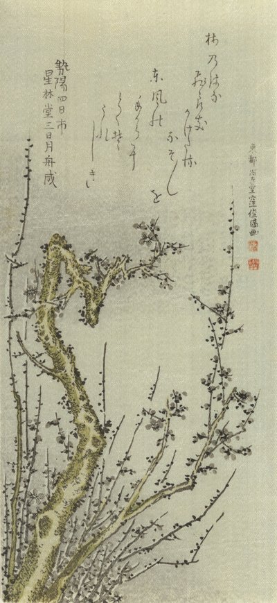 Gammalt plommonträd, 1796. av Kubo Shunman