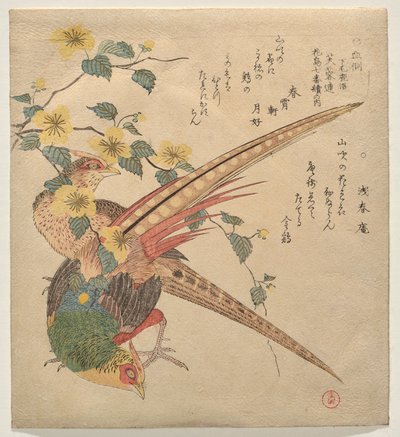 Ett par kinesiska fasaner och en gren av yamabuki-blommor av Kubo Shunman