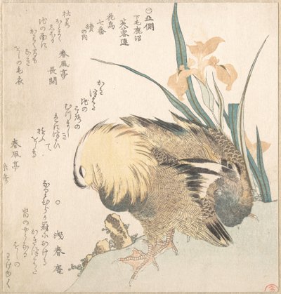 Par av mandarinänder och irisblommor av Kubo Shunman