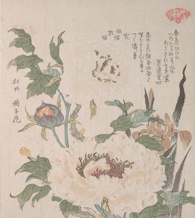 Pioner och Iris, 1800-talet. av Kubo Shunman