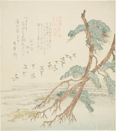 Pine Trees, från serien "and the difference ry för bokgenerationen, Hisakataya, plan d filialföretag (Shofu generation Hisakataya filialföretag och skillnadsdagbok)" av Kubo Shunman