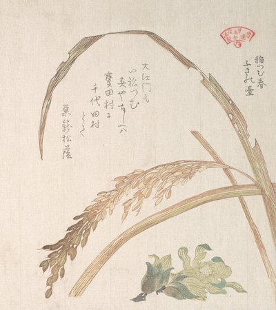 Rice Plant and Butter-Burs, 1800-talet. av Kubo Shunman