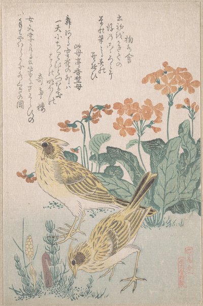 Sånglärkor och gullvivor, ur serien "En samling fåglar" (Tori awase), ur surimonoalbumet Vårregn (Harusame surimono-jō, vol. 3) av Kubo Shunman