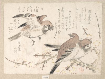 Sparvar och plommonblommor av Kubo Shunman