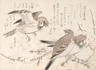 Sparvar och plommonblommor, 1800-talet. av Kubo Shunman