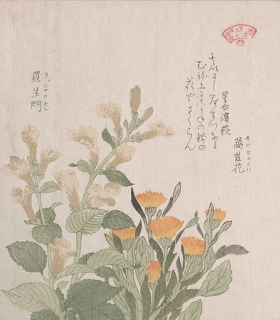 The Common Ringblom och The Rajoman Flowers, 1800-talet. av Kubo Shunman