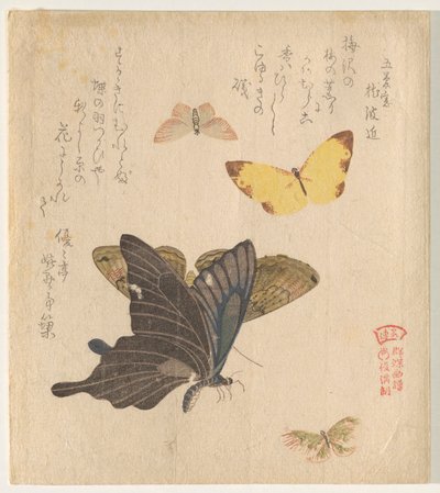 The Painting Manual of Flock of Butterflies (Guncho? Gafu) av Kubo Shunman