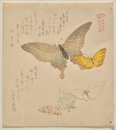 The Painting Manual of Flock of Butterflies (Guncho? Gafu) av Kubo Shunman