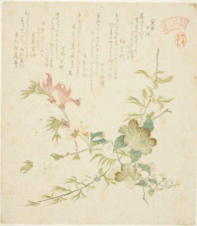 Olika vårblommor, från serien "Vårväxter och träd för Kasumi Poetry Circle of the Yomo Group (Yomogawa Kasumi-ren haru no kusaki no uchi)" av Kubo Shunman