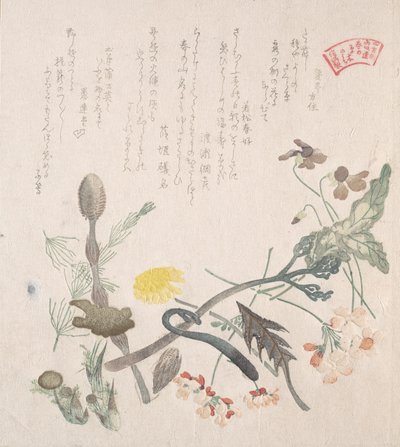 Violer, primörer och andra vårblommor, 1800-talet. av Kubo Shunman