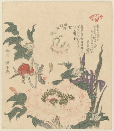 Pioner och iris Kakitsubata botan (titel på objekt) Ett urval av växter för Kasumi Poetry Society (serietitel) Kasumiren sômoku awase (serietitel på objekt) av Kubota Shunman