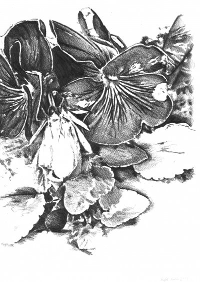  av Kulik