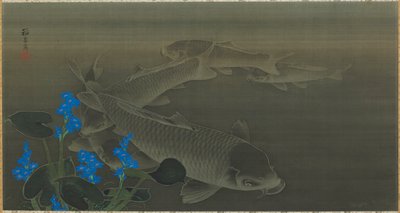 Karp, Edo-period, tidigt 1800-tal. av Kuroda Toko