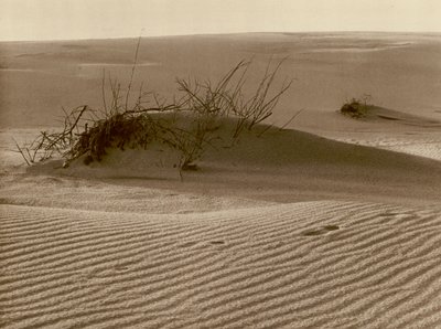 Skiftande sanddyn på Kuriska spotten norr om Rossitten; Skiftande dyn en den Kuriska sandspetten i norra Rossitten (s/v foto) av Kurt Hielscher