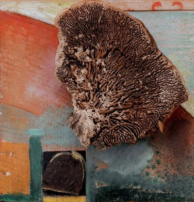 Namnlös (Merz bild med korall) av Kurt Schwitters