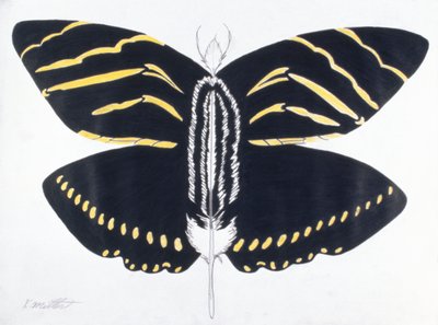 Feathered Butterfly, 2004 (färgpenna på papper) av Kurtis L. Miller
