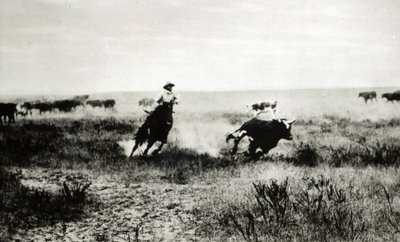 Cowboy på hästryggen som lassooar en kalv (svartvitt foto) av L.A. Huffman