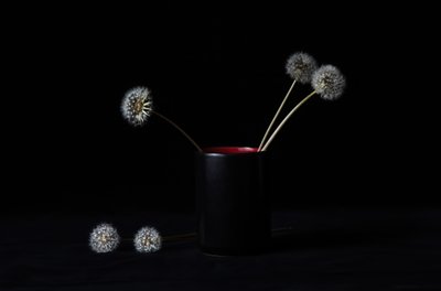 Elegant vas med maskrosor av LM Meng
