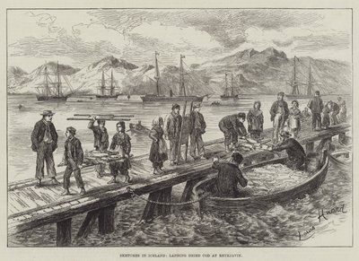 Skisser på Island, landning av torkad torsk i Reykjavik av L. Huard