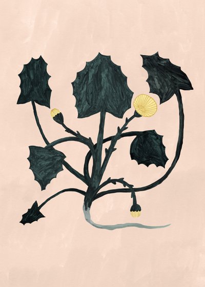 Okänd växt, 2018 av Léa Le Pivert