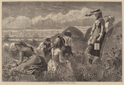 Samla bär av Lagarde after Winslow Homer