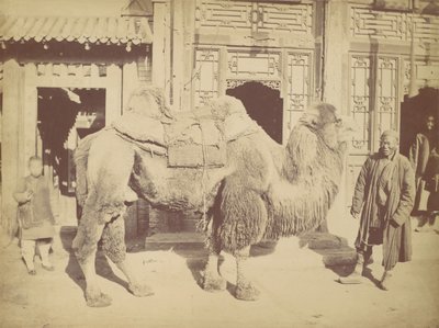 Peking. av. 923, 1867. av Lai Fong.